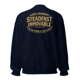Steadfast Immovable Pullover Sweatshirt-Victory Apparel, Inc.